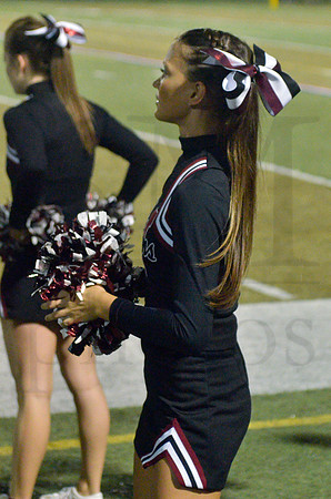 dsc_7442